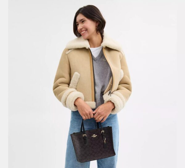 COACH Mollie Medium Tote Bag in Signature Canvas Brown Black