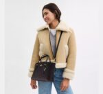 COACH Mollie Medium Tote Bag in Signature Canvas Brown Black